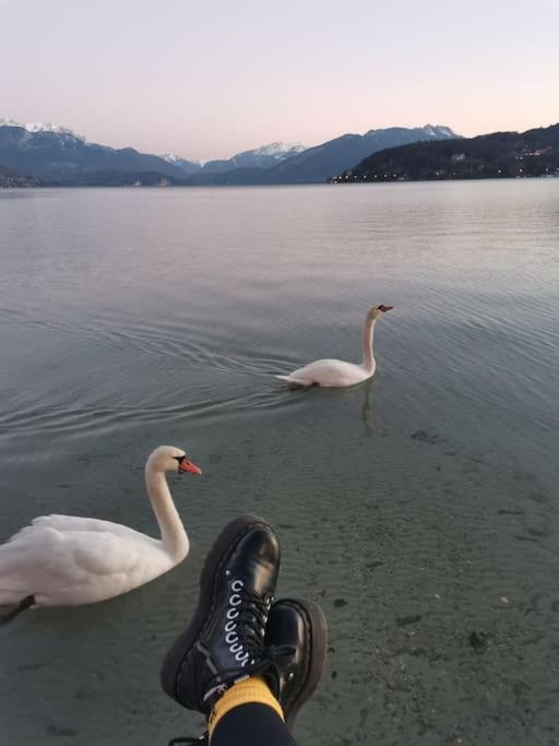 شقة Cocon A La Campagne,Proche Annecy البي-سور-شيران المظهر الخارجي الصورة