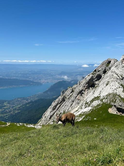 شقة Cocon A La Campagne,Proche Annecy البي-سور-شيران المظهر الخارجي الصورة