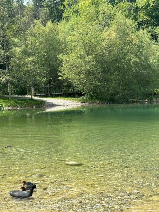 شقة Cocon A La Campagne,Proche Annecy البي-سور-شيران المظهر الخارجي الصورة